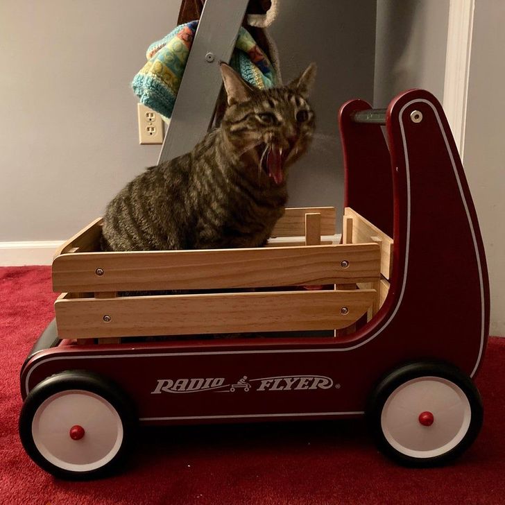 2850e751cda0ecba9477daa0e9