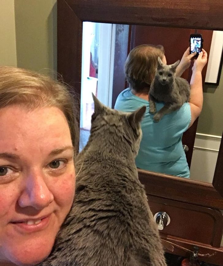 28579254cc811a1834ab43b16b