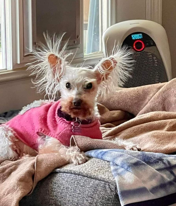 285a44526fa7520b6bf7af4847