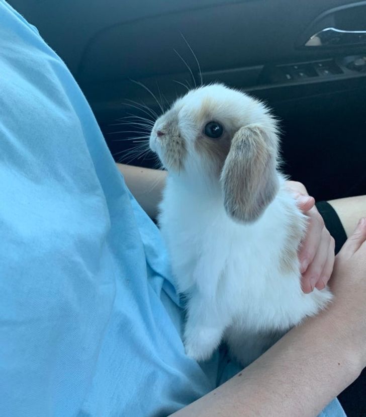 285be4574d9d424b8f75a713c6