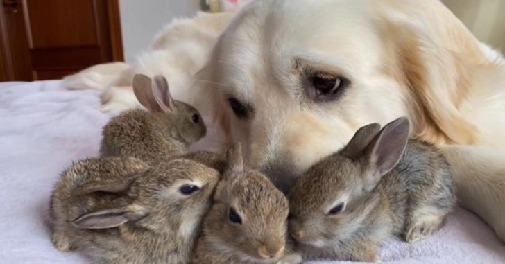 2862d05eb9a9b2c8b0d3b4b437