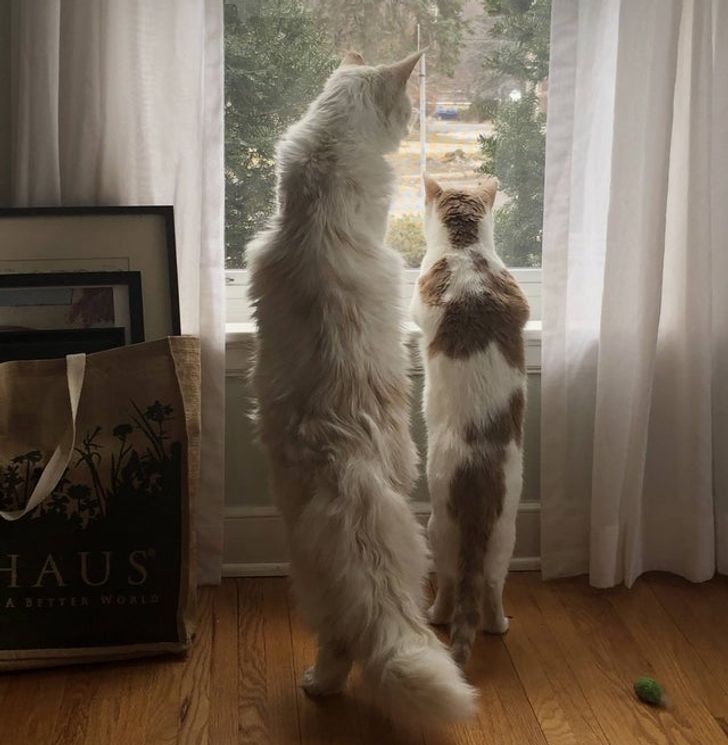 2865d05128bf6ae6b4871ea6fd