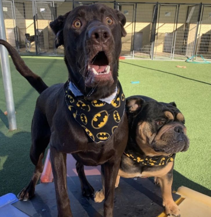 2875a45b9183669ad15a12ca76