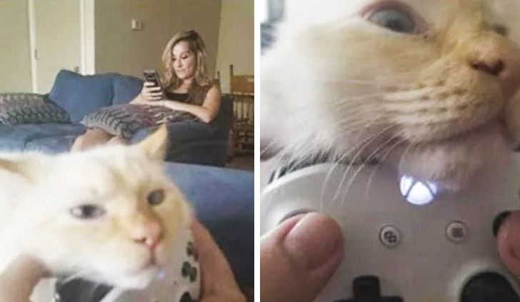 287d0e5711a17962d1daf631dc