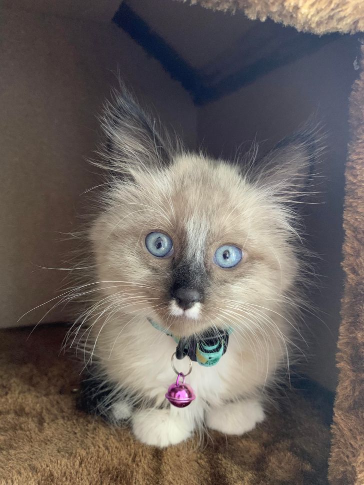 287d135863a28e4cb9e9f9efba