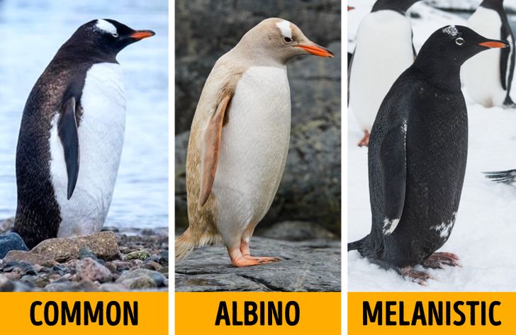 2880d354f6901edbb615c16c34