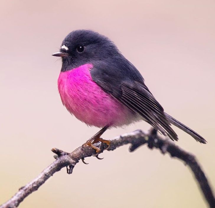 28850f52ddbba1cfe2652953c0