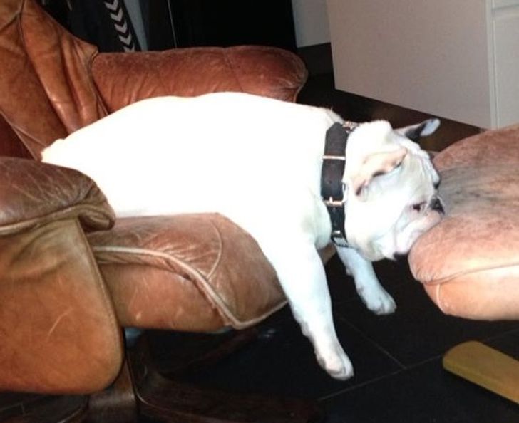 289dd65e218096360a750a1c6d