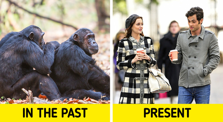 289e7854cba2d0103621db7911