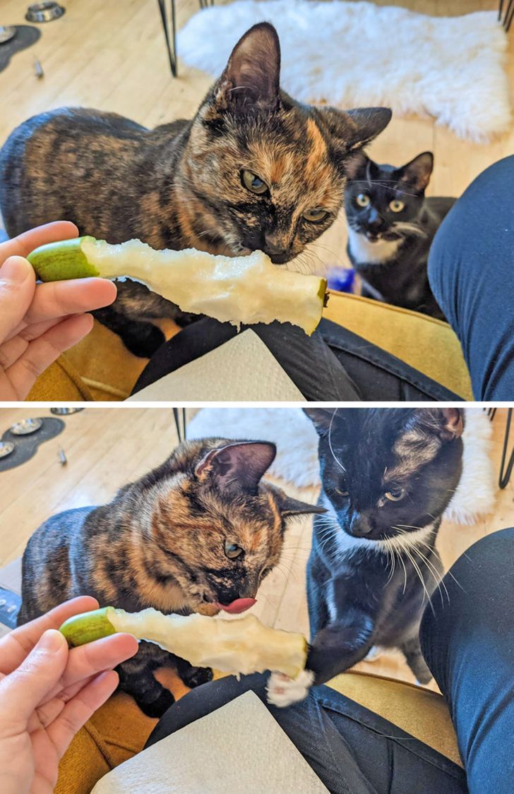 28a449507ab046caba11e17b93