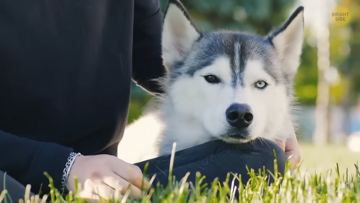 28a4c051c2a71cfec9022192bd