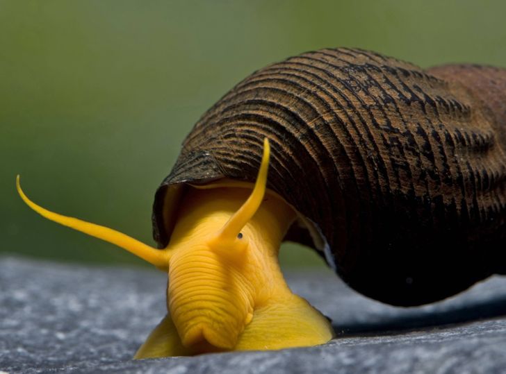 28a9985f818032935b6477df73