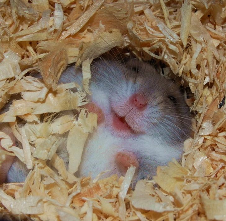 28bb3858b894895b1294ed716a