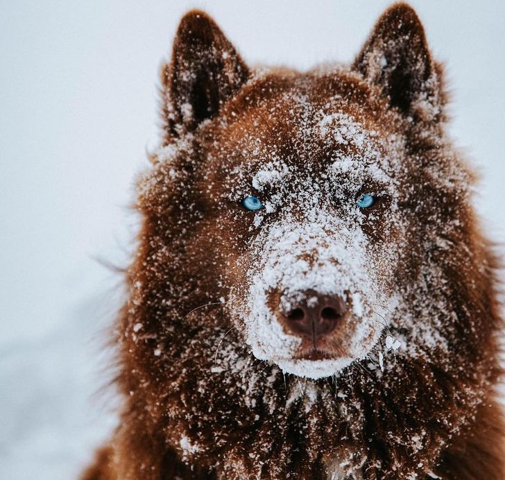 28bbb55979b1bbd586d97f02a2