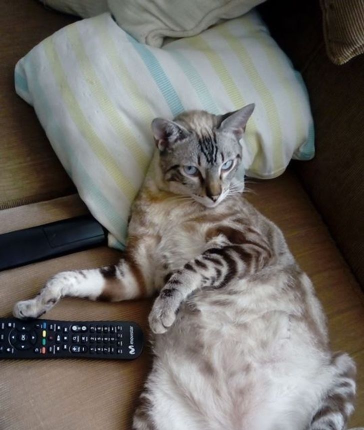 28befd58cb8a78c58a0adff700