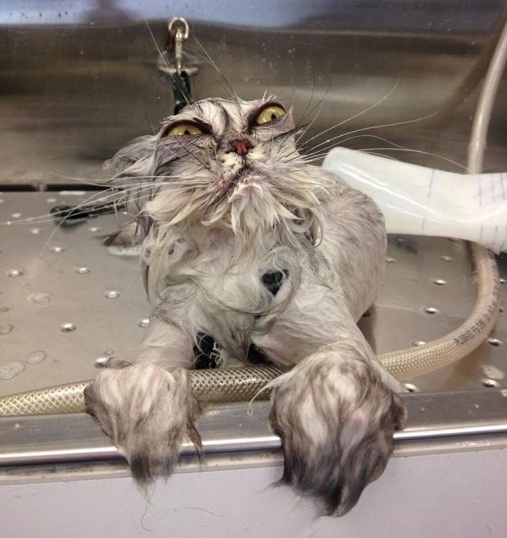 28c18b589da4280fd9cc75d87d