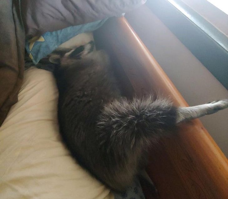 28c1de548fa4ae419b05155494