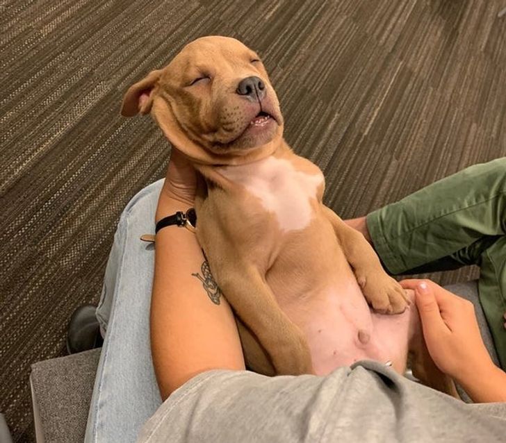 28c54e5eefb29bc620fd98bdf8