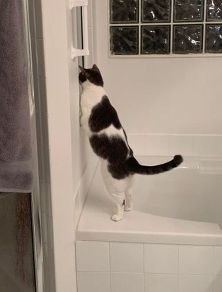 28c5a95bbb9078936b8c4ccc84 28c5a95bbb9078936b8c4ccc84