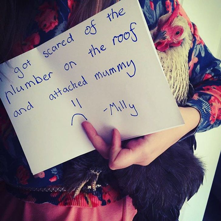 28e0dd5720819574eb72a52f84