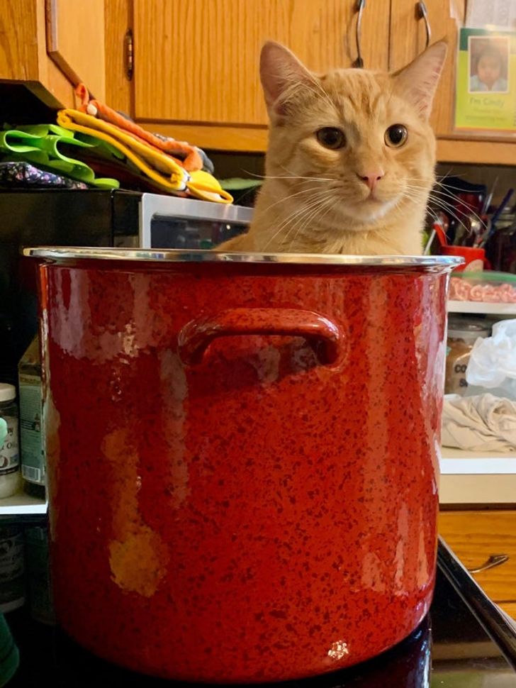 28ed735c7490388782ff5407a6