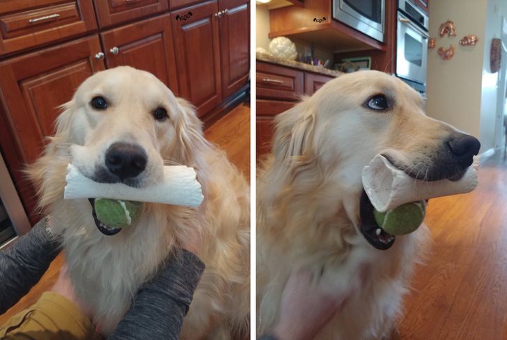 28f2c159d1bceafc56e00a2722