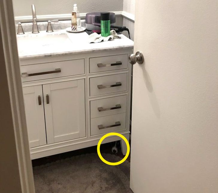 28f67f57559208c5812edd79fb