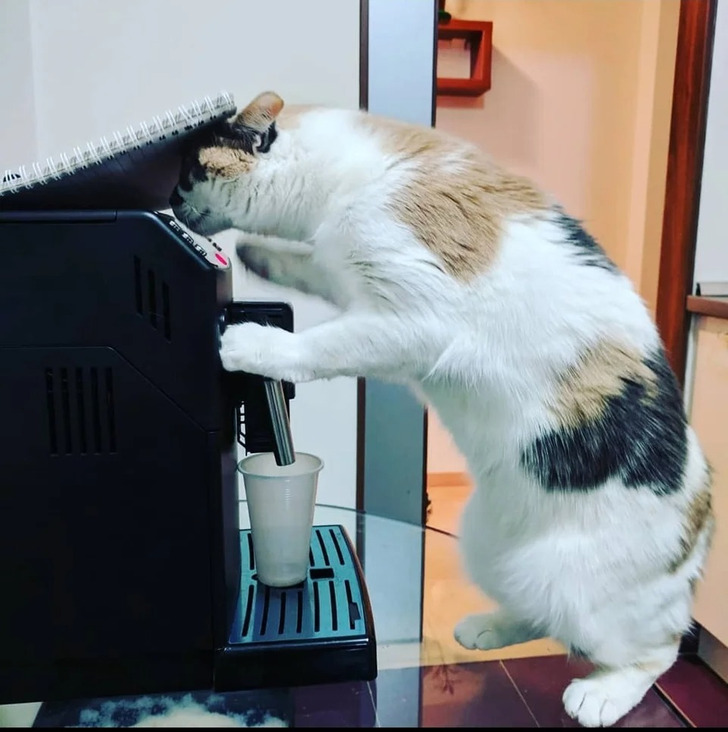 2900c25232babcb223afe3dbff