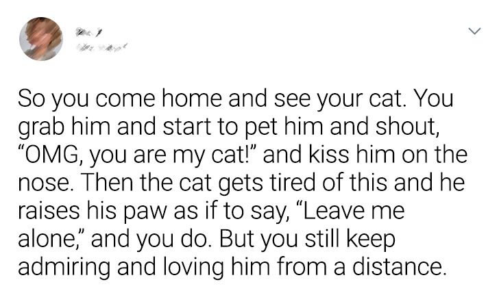 2902c1574d832e33951b2fde41