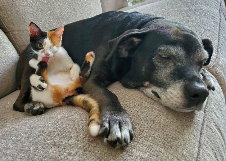 290cee580b97d49c28f9b867e9