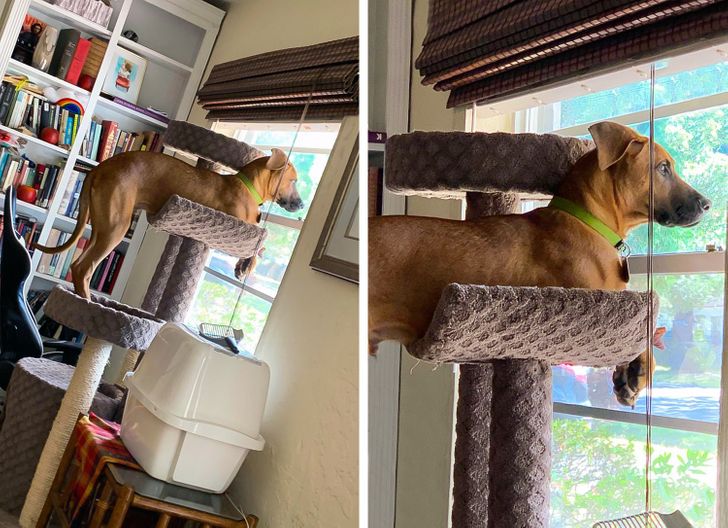 2911a05d29b3e28ffce9159e94 2911a05d29b3e28ffce9159e94