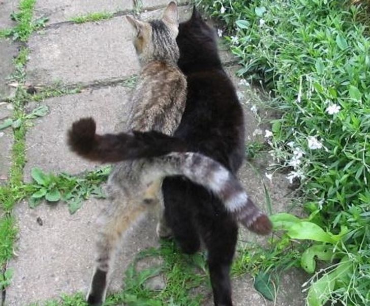 2912ae5ba5bc9cc4d1f43d529b