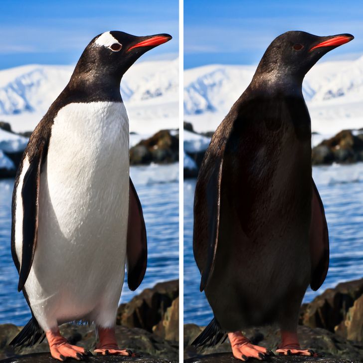 29136e57a68c4769b6956c5a93