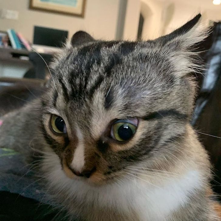 2914aa54ba8e30fbda1c6dc1b3