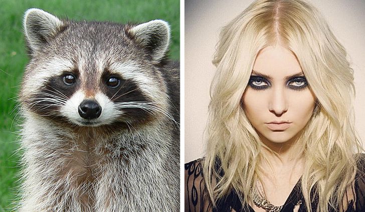 291e305c69a79d7203f7c65d1a