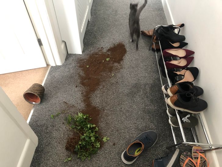 291eb859c982cd1892a9e16033