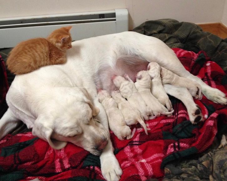 2925a55e2b805005a072ea6fb6