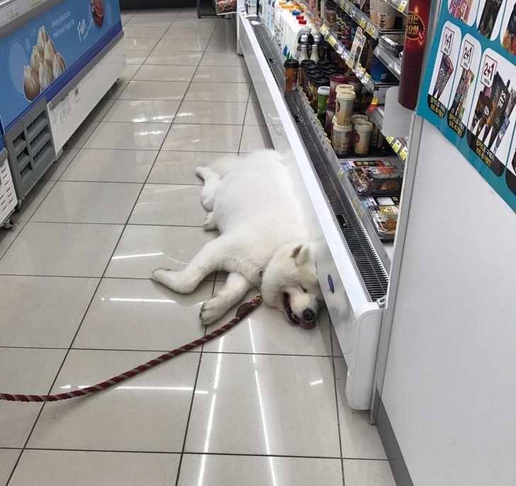 2926af5f718af5cdaaa84f49dc