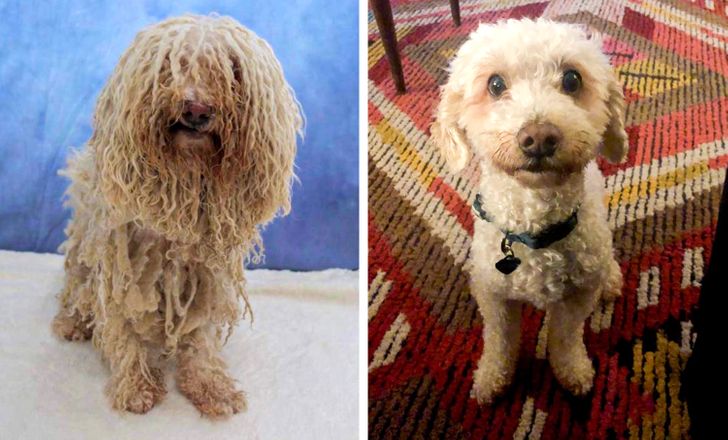 29292256c694a12267ac6a7dc8