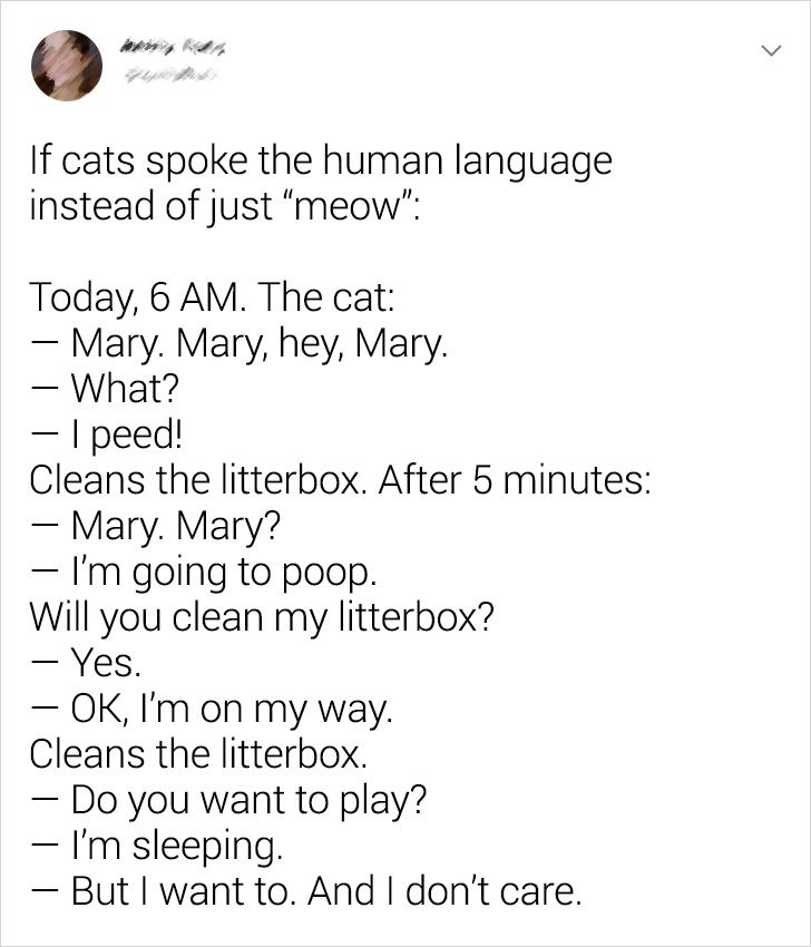 292aad5ddf8db7a2cf819a1365