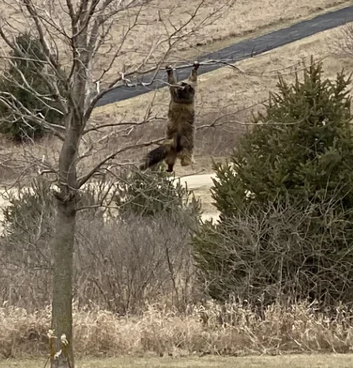 292d9754eca42c6c15387e4f60 292d9754eca42c6c15387e4f60