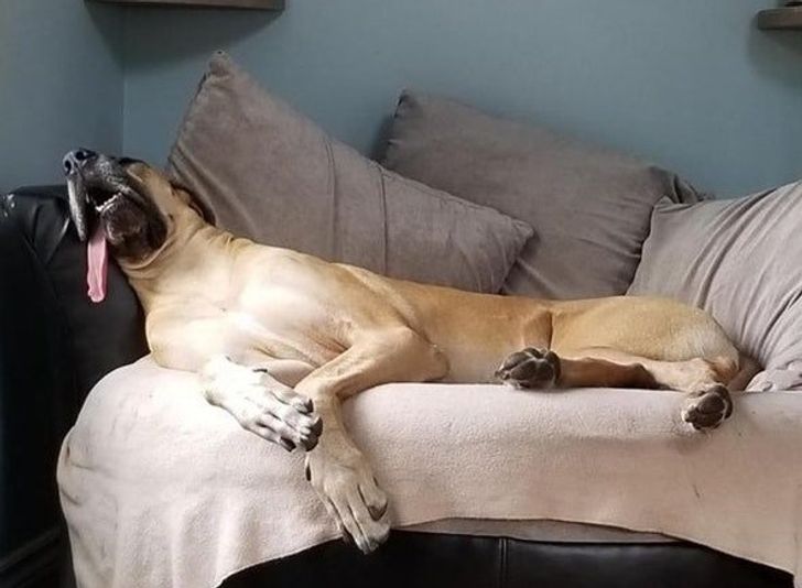 29302358ad9626e2de88dd6566