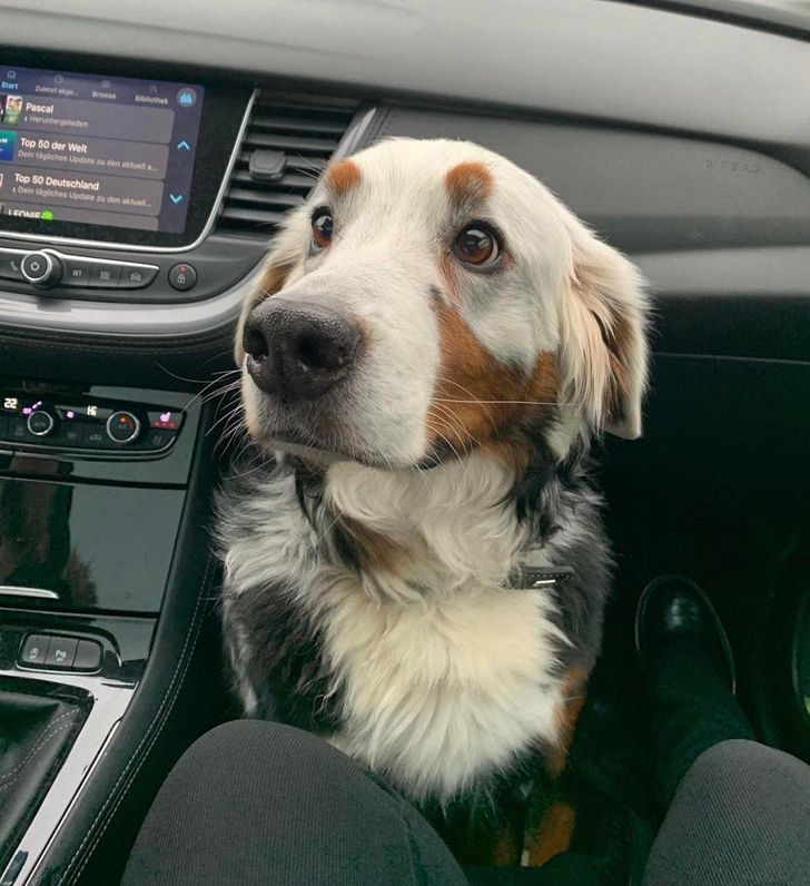 2934e05712ae90601253ffb380 2934e05712ae90601253ffb380