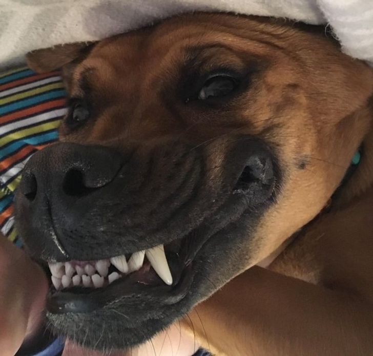 29356a5f6992d655027a935573