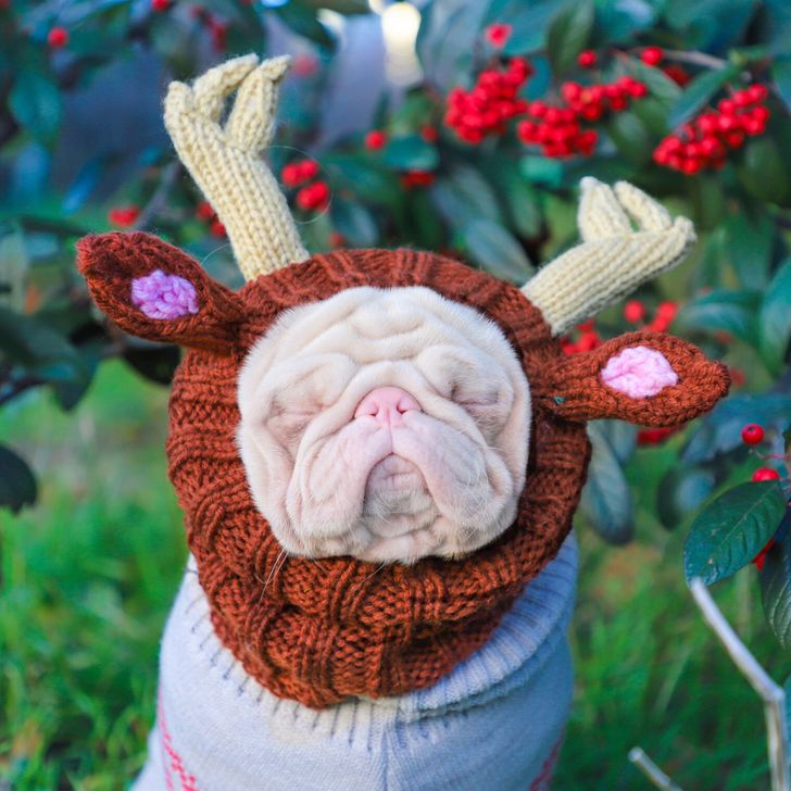 2948355631b947b2e04a0be3d5