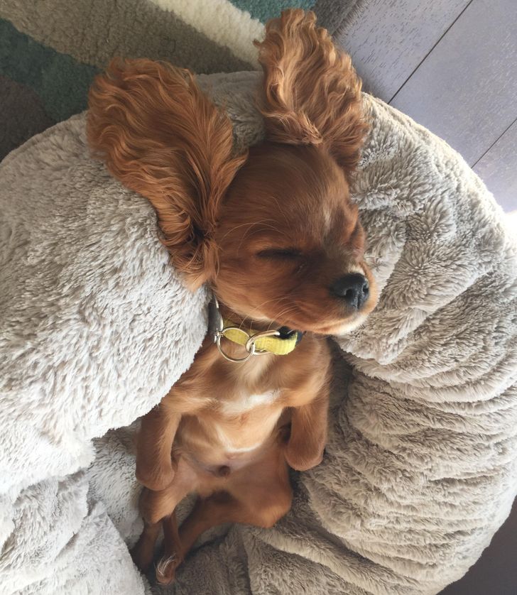 2952885468a7a24fb2e75a6ed4