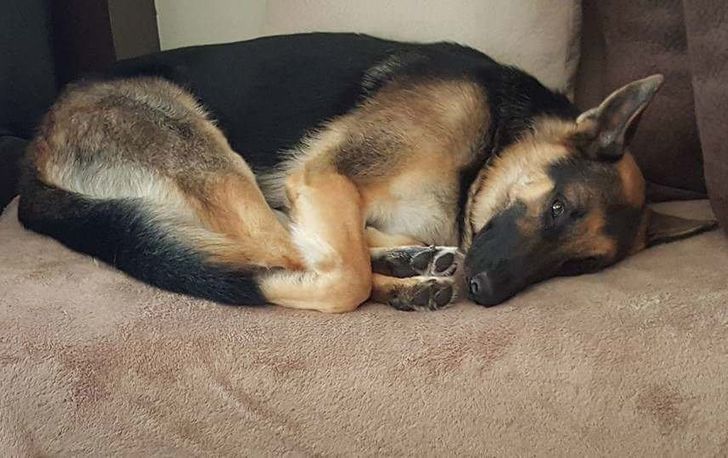 2953bc554aadc1a9ea124fcb0f