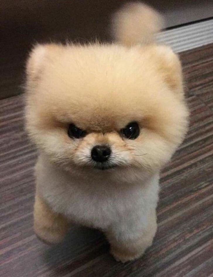 2954a35c6ebb6015619ccba8b7