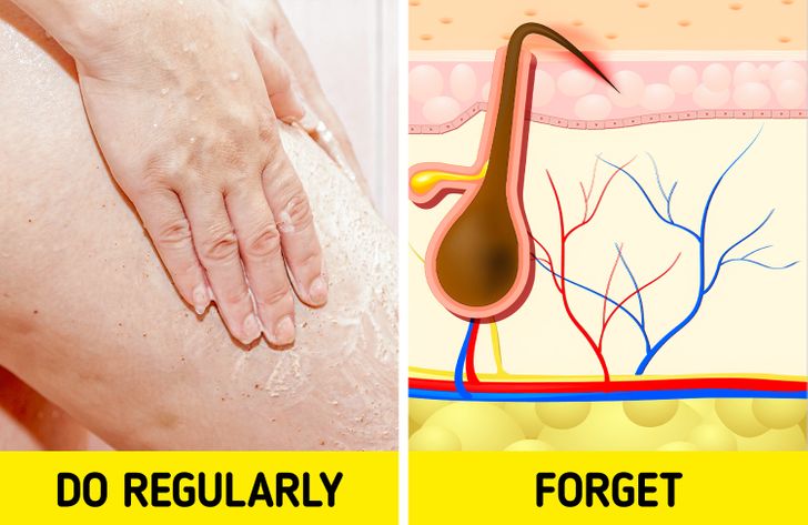 295e665b24a33806cabb37c9a5