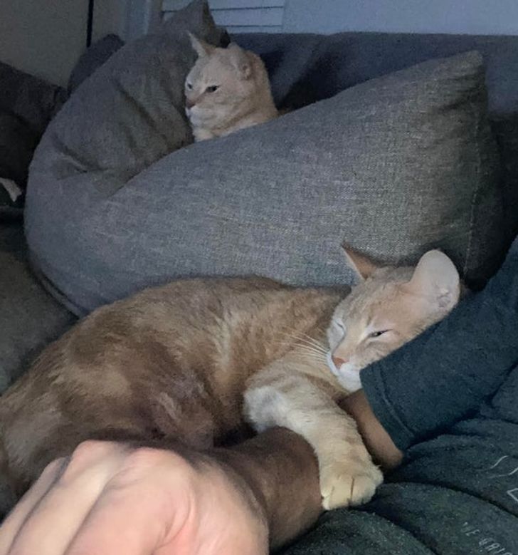 2963875103b5c9dab22d84c2e1